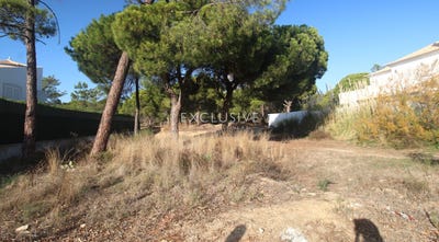 /international/pt/faro-faro-310104113896/