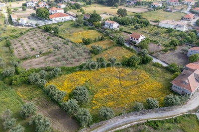 /international/pt/fornos-de-algodres-guarda-310108321295/