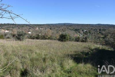 /international/pt/santarem-santarem-310108181688/