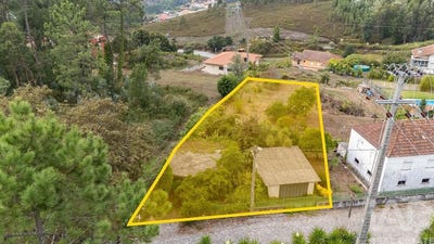 /international/pt/porto-braga-310103091440/