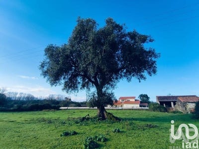 /international/pt/viana-do-castelo-viana-do-castelo-310104167325/