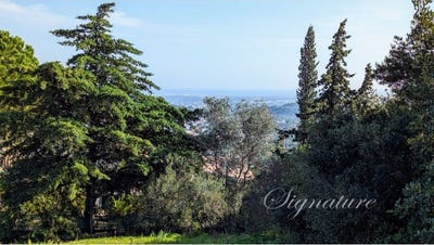 /international/pt/santa-barbara-de-nexe-faro-310100958340/?lang=fr