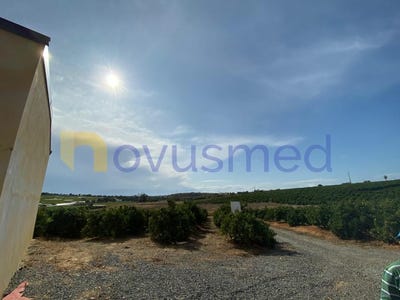 /international/pt/quelfes-faro-310106109104/