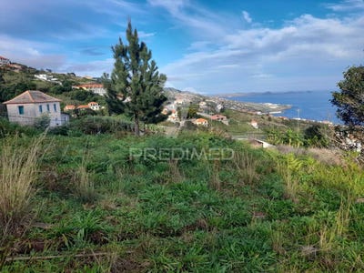 /international/pt/gaula-santa-cruz-madeira-310095165659/