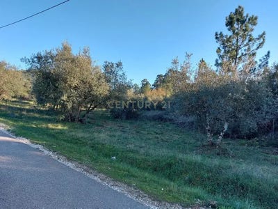 /international/pt/cabeco-de-sao-pedro-redinha-leiria-310106687343/