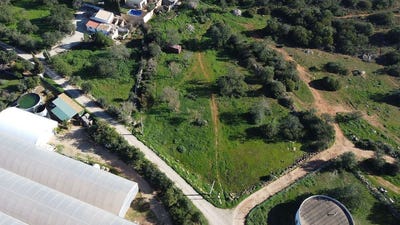 /international/pt/faro-faro-310093935195/