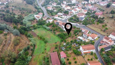 /international/pt/brasfemes-coimbra-310100662689/