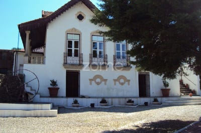 /international/pt/sao-joao-da-pesqueira-viseu-120085994998/?lang=en
