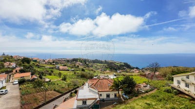 /international/pt/canhas-madeira-310099230144/