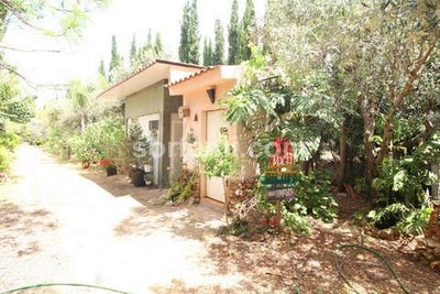 /international/pt/silves-faro-310108289959/