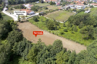 /international/pt/vila-nova-de-gaia-porto-310095563350/
