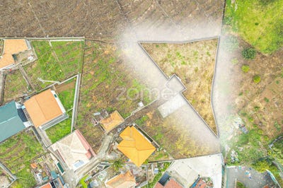 /international/pt/camara-de-lobos-madeira-310104041427/