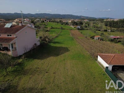/international/pt/coimbra-lisbon-310106387463/