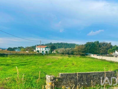 /international/pt/viana-do-castelo-viana-do-castelo-310095257907/