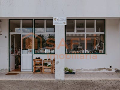 /international/pt/almagreira-leiria-310100489556/