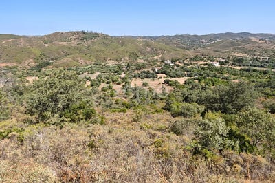 /international/pt/silves-faro-310108893172/?lang=de