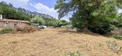 /international/pt/santarem-santarem-310100377833/