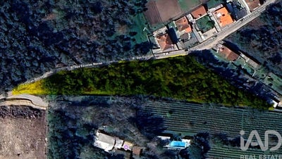 /international/pt/porto-braga-310105240342/