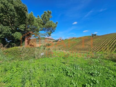 /international/pt/azueira-e-sobral-da-abelheira-lisbon-310100490247/