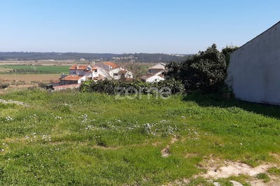 /international/pt/soure-coimbra-120060808311/