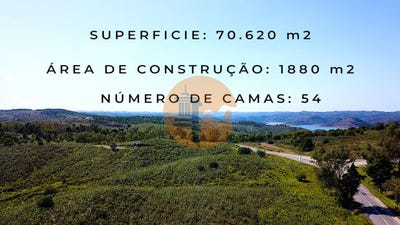 /international/pt/faro-faro-310096372788/