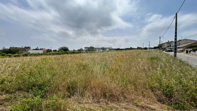 /international/pt/santarem-santarem-310103993485/