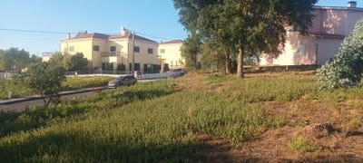 /international/pt/rua-cortico-3050-079-barcouco-portugal-barcouco-aveiro-310102105088/