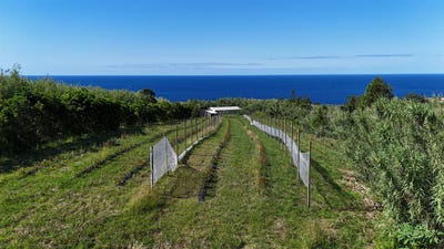 /international/pt/castelo-branco-braganca-310108838562/