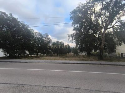 /international/pt/rua-nova-do-moinho-de-cima-marinha-grande-portugal-marinha-grande-leiria-310108837007/?lang=de