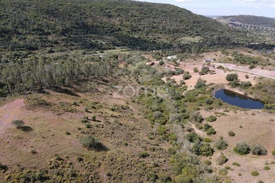 /international/pt/silves-faro-310108455778/