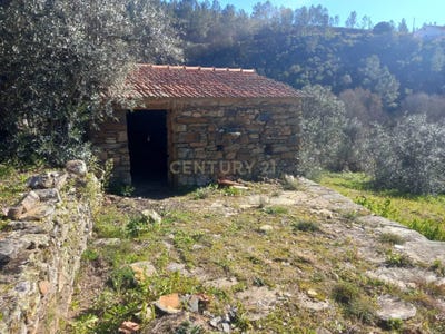 /international/pt/feiteira-sarzedas-castelo-branco-310105229380/
