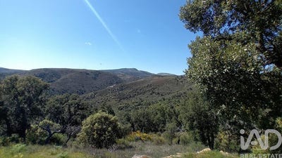 /international/pt/braganca-braganca-310105299556/
