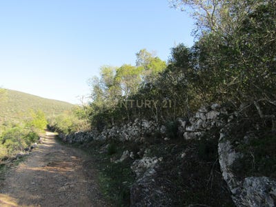 /international/pt/gafino-paderne-viana-do-castelo-310105187243/