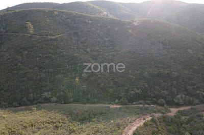 /international/pt/silves-faro-310108180444/