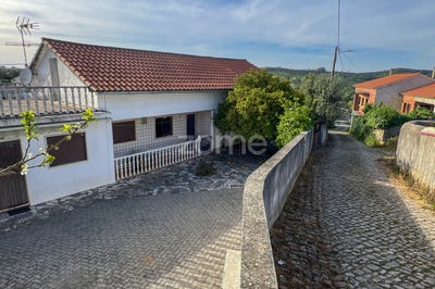 /international/pt/ansiao-leiria-120091624289/