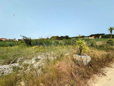 /international/pt/peniche-leiria-310100233892/
