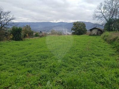 /international/pt/ponte-de-lima-viana-do-castelo-310106286973/