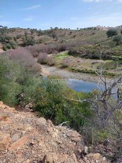 /international/pt/ourique-beja-310108322405/
