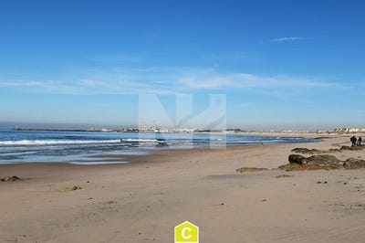 /international/pt/areia-arvore-porto-310103993861/