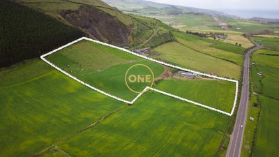 /international/pt/arrifes-azores-310108209661/