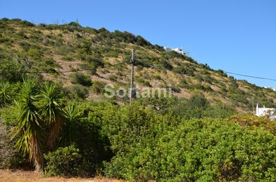 /international/pt/albufeira-faro-310107217101/