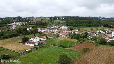 /international/pt/valongo-do-vouga-aveiro-310107041630/
