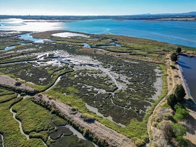 /international/pt/estrada-do-seixalinho-montijo-portugal-montijo-e-afonsoeiro-setubal-municipality-310108082039/