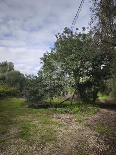/international/pt/paderne-albufeira-faro-310106426264/
