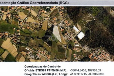 /international/pt/trofa-porto-310105943759/