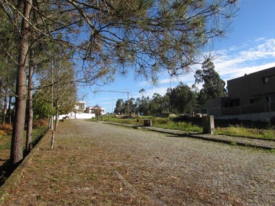 /international/pt/palmeira-de-faro-braga-310101159362/