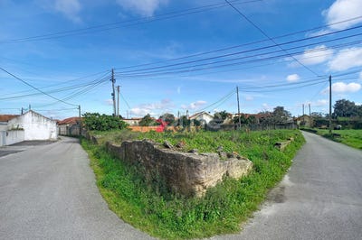 /international/pt/vagos-aveiro-310106392489/