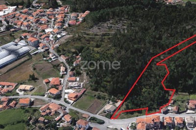 /international/pt/oliveira-de-azemeis-aveiro-310099970190/