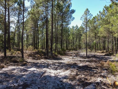 /international/pt/grandola-setubal-municipality-310099806930/