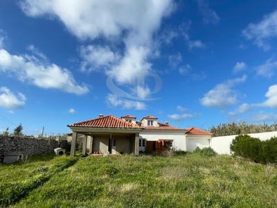 /international/pt/peniche-leiria-310108968904/